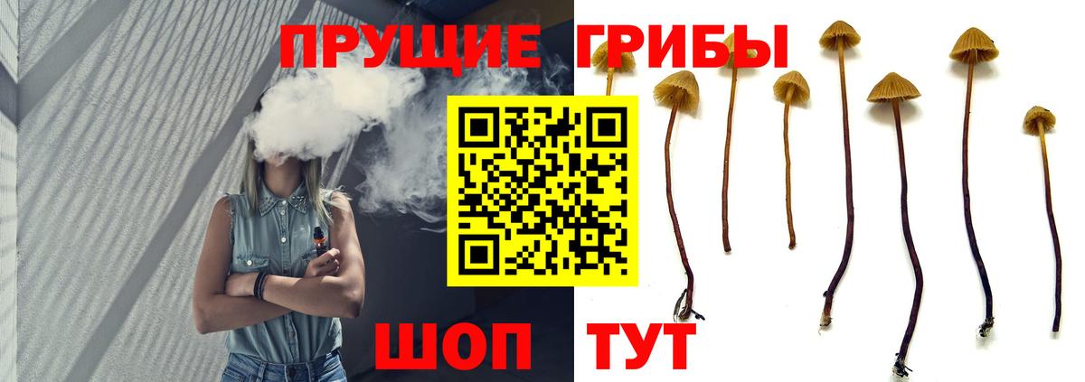 Галлюциногенные грибы прущие грибы Красногорск